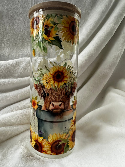 25 oz Clear Glass Straight Tumbler